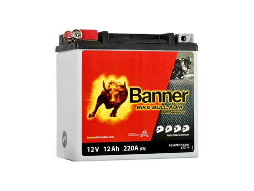 Banner AGM PRO 514 01
