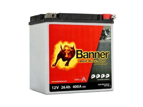 Banner AGM PRO 530 01