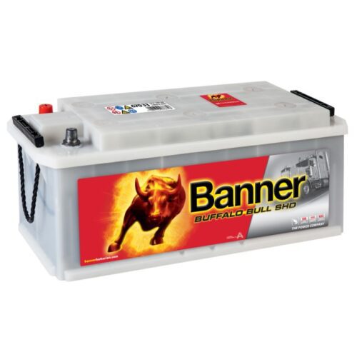 Banner Buffalo Bull SHD 12V 170Ah 1000A SHD 670 33 - Obrázek 2