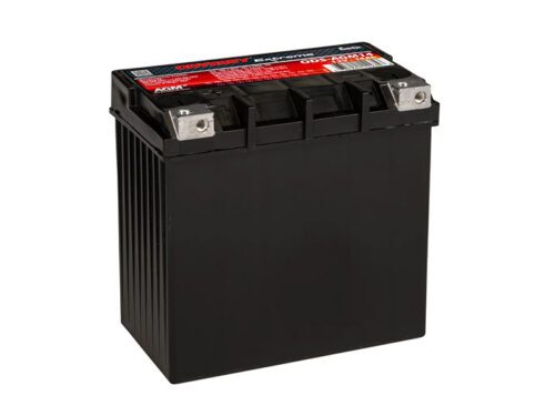 ENERSYS Odyssey Extreme ODS-AGM14