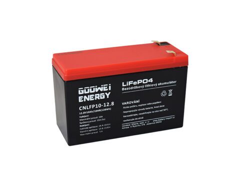 GOOWEI ENERGY CNLFP10-12.8 10Ah 12.8V