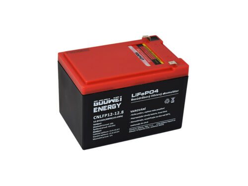 GOOWEI ENERGY CNLFP12-12.8 12Ah 12.8V