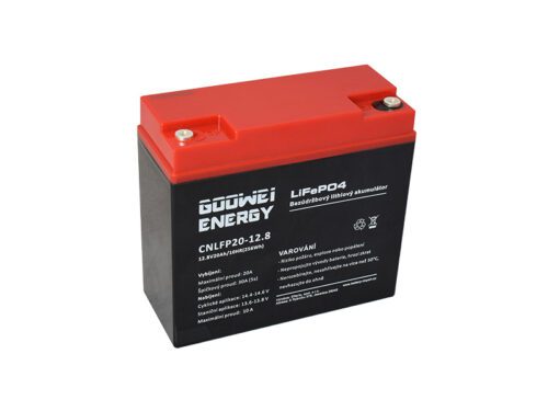 GOOWEI ENERGY CNLFP20-12.8 20Ah 12.8V