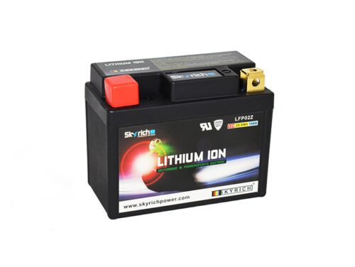 Skyrich Lithium LFP02Z