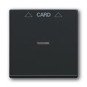 ABB kryt vypínače kartového antracitová 2CKA001710A3639 Future Linear