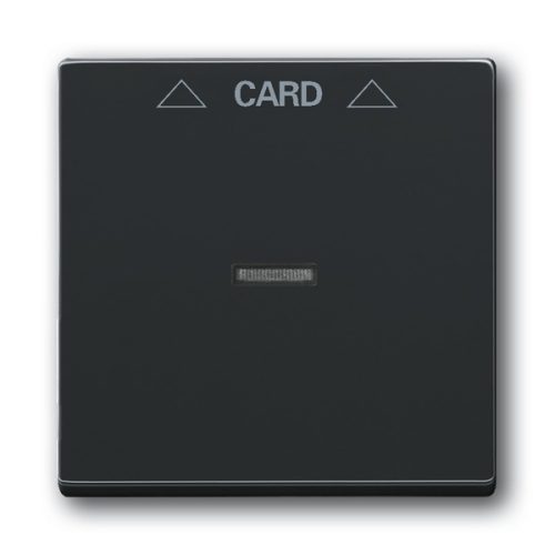 ABB kryt vypínače kartového antracitová 2CKA001710A3639 Future Linear
