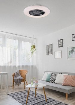 Stropní ventilátor s LED osvětlením TRIO VISBY 38W 2700K-6500K R62402106 - Obrázek 2