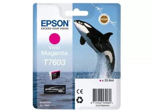 Epson T7603 Ink Cartridge Vivid Magenta C13T76034N10