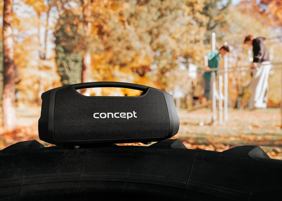Concept Bezdrátový reproduktor SoundJoy BR5060 Black - Obrázek 2