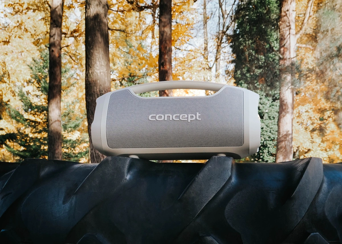 Concept Bezdrátový reproduktor SoundJoy BR5061 Taupe - Obrázek 2