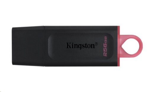 Kingston DataTraveler Exodia/256GB/USB 3.2/USB-A/Růžová DTX/256GB - Obrázek 4