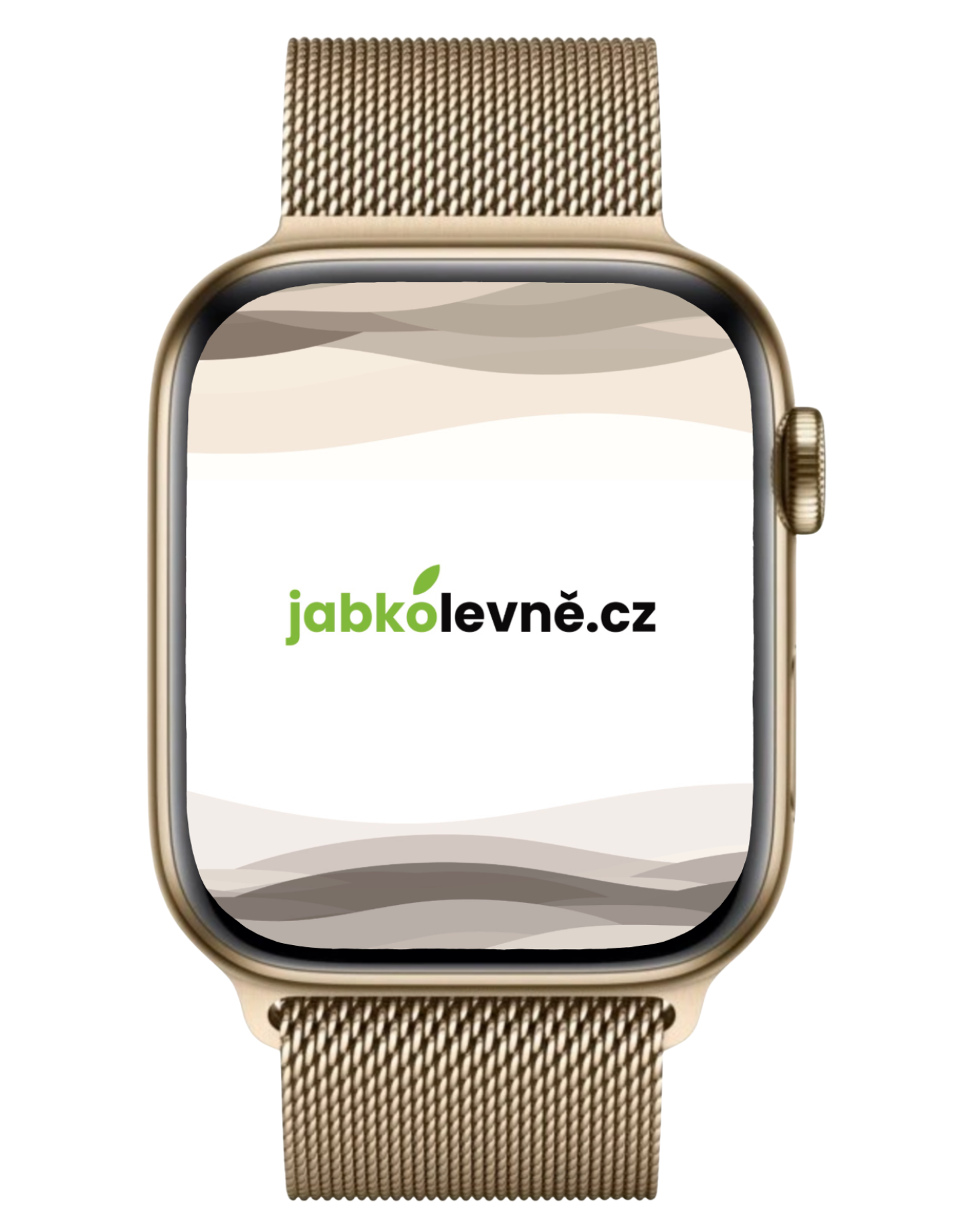 Apple Watch Series 6 44mm Cellular (Stav A) Zlatá nerezová ocel s grafitovým ocelovým řemínkem