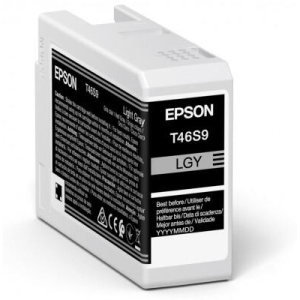 Epson Singlepack Light Gray T46S9 Ultrachrome C13T46S900