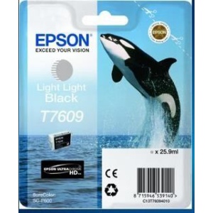 Epson T7609 Ink Cartridge Light Light Black C13T76094010
