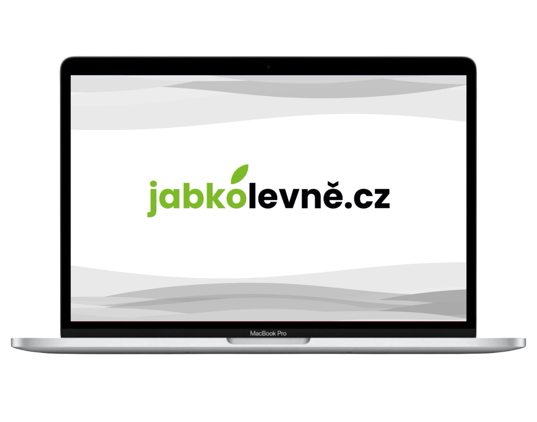MacBook Pro 13" 2020 M1 / 16GB / 1TB (Stav A-) Stříbrná