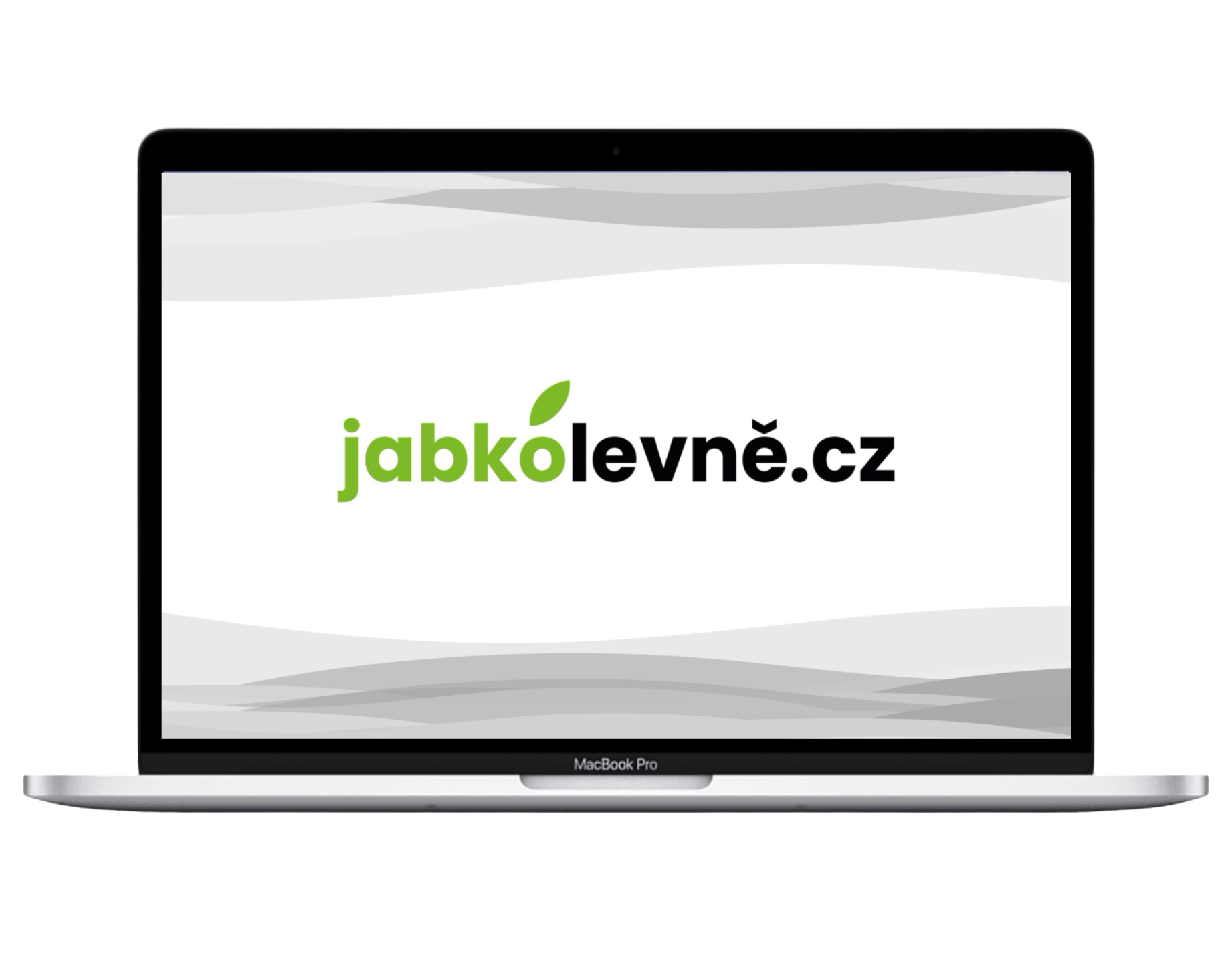 MacBook Pro 15" 2018 i7 / 16GB / 256GB (Stav A-) Stříbrná