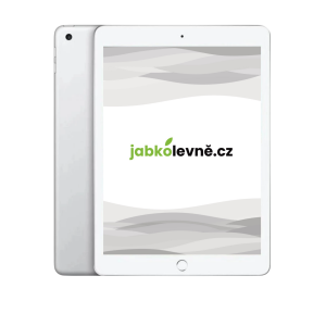 iPad 10