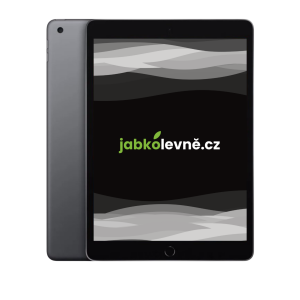 iPad 10