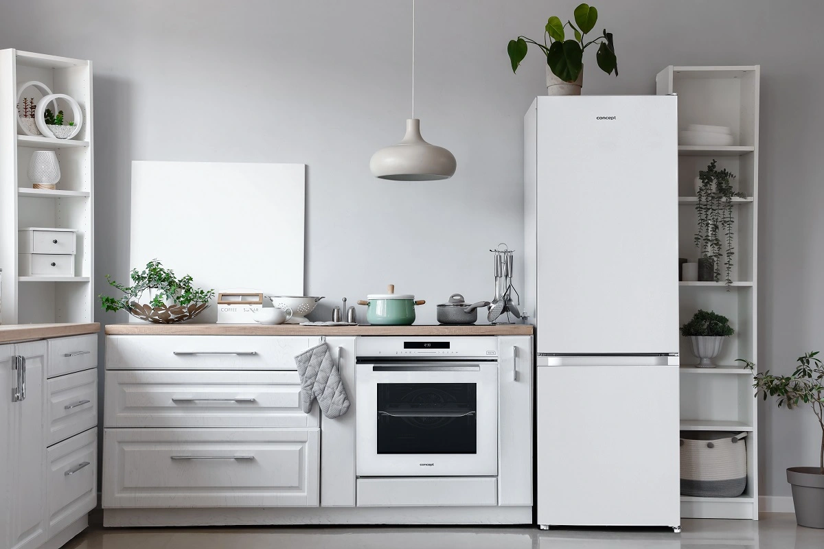 Concept Lednice s mrazákem LK3354wh - Obrázek 2