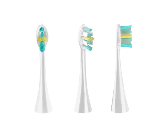 Concept ZK0070 - Obrázek 2