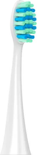 Concept ZK0072 - Obrázek 2