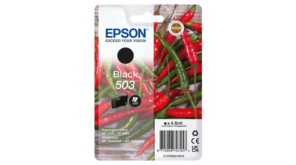 Epson 503 inkoustová náplň 1 kusů Originální Standardní výtěžnost Černá C13T09Q14010