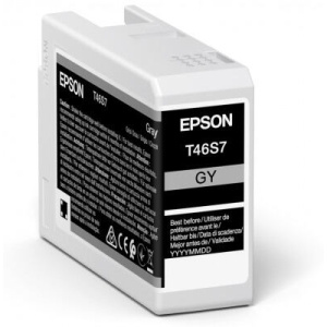 Epson Singlepack Gray T46S7 Ultrachrome C13T46S700