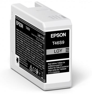 Epson Singlepack Light Gray T46S9 Ultrachrome C13T46S900