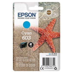 Epson singlepack