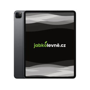iPad Pro 11" 256 GB Wi-Fi + Cellular M1 2021 (Stav B) Vesmírně šedá