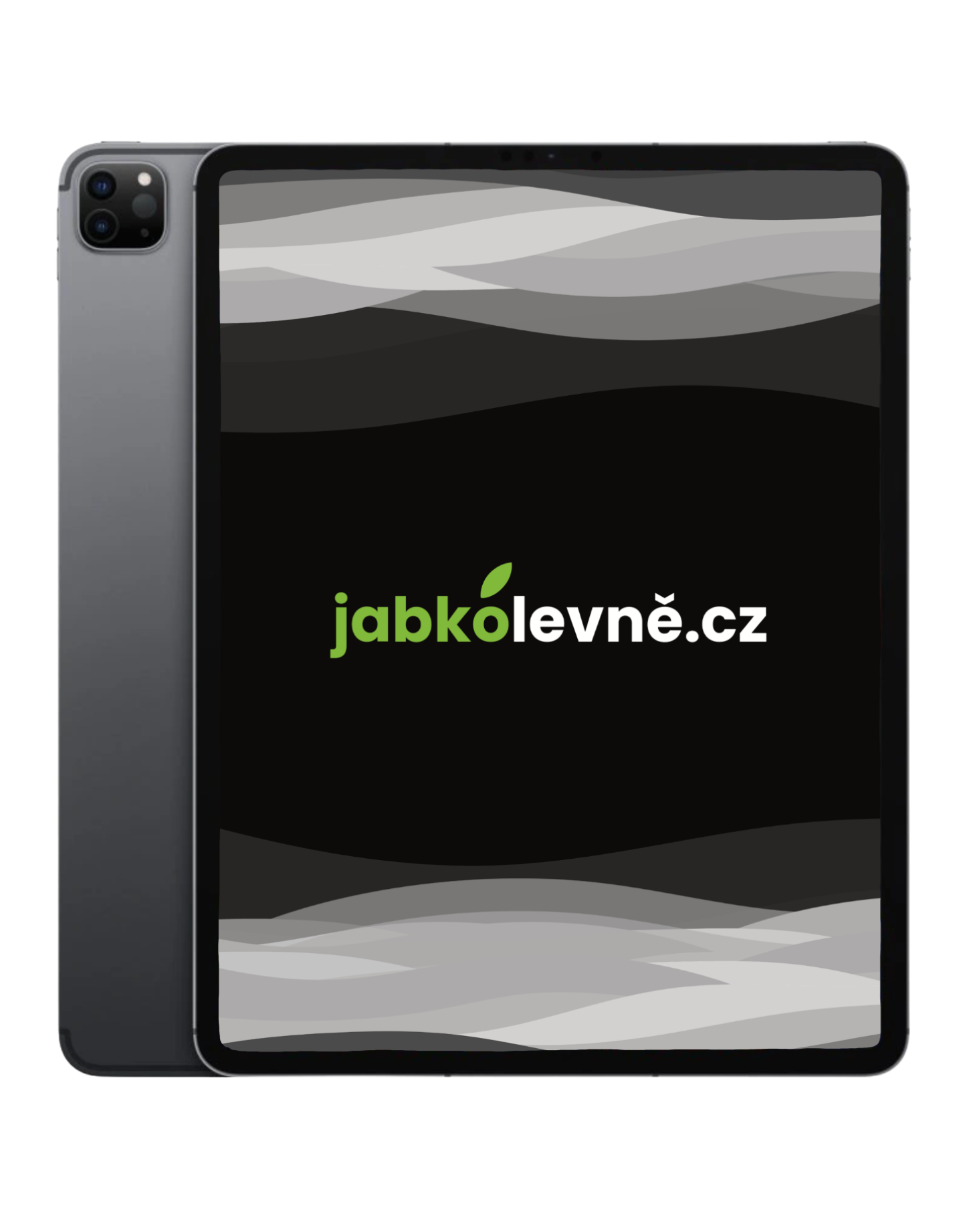 iPad Pro 11" 256 GB Wi-Fi M1 2021 (Stav A-) Vesmírně šedá
